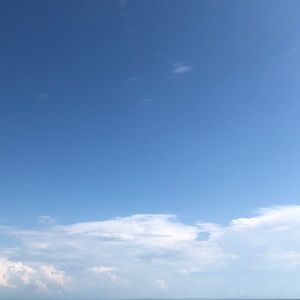 Meet your Posher, Genevieve